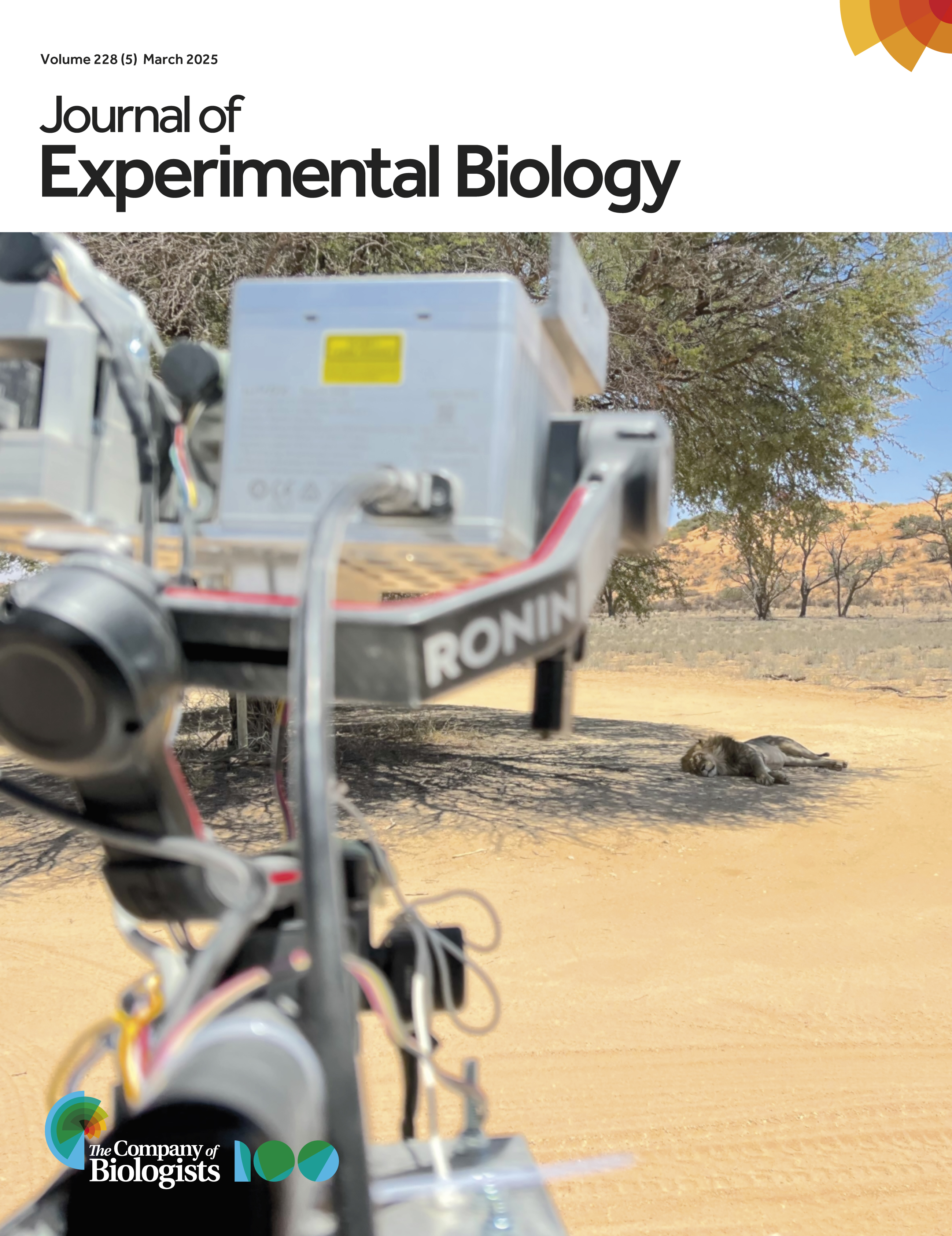 Journal of Experimental Biology Cover